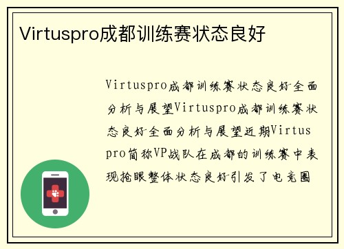 Virtuspro成都训练赛状态良好