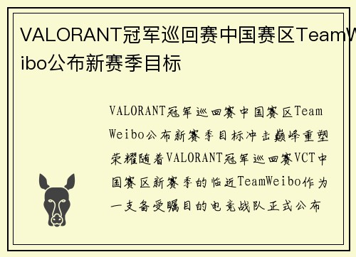 VALORANT冠军巡回赛中国赛区TeamWeibo公布新赛季目标